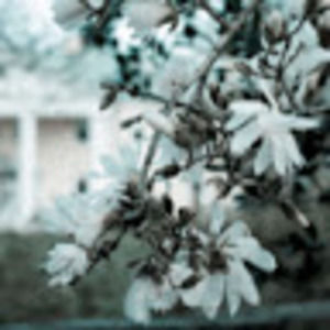 Meet your Posher, Bailey